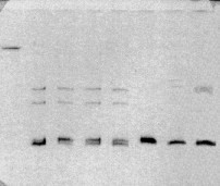 Figure 4-1