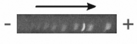 Figure 4-2