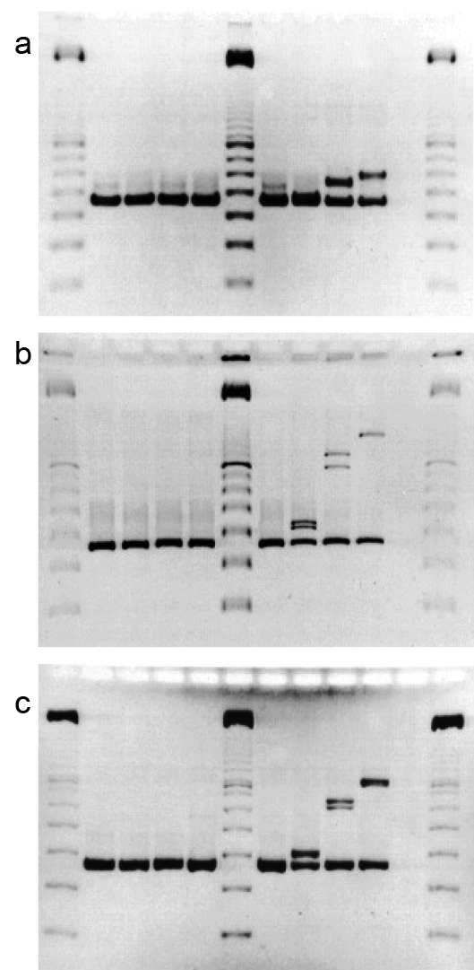 Figure 4-3